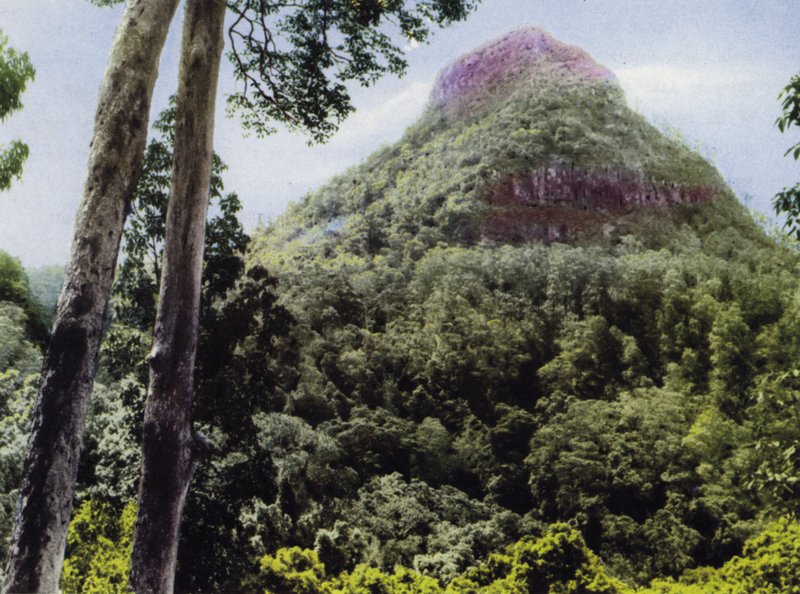 Queensland, Avustralya: Mt Cordeaux (fotoğraf) by Photographer Australian