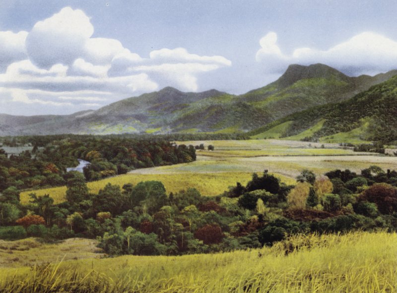 Queensland, Avustralya: Mossman