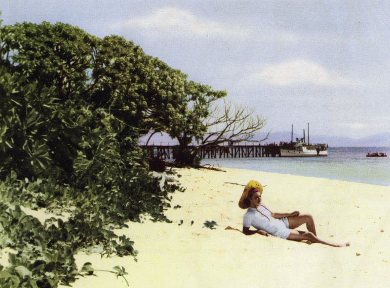 Queensland, Avustralya: Tropikal Plaj (fotoğraf) by Photographer Australian