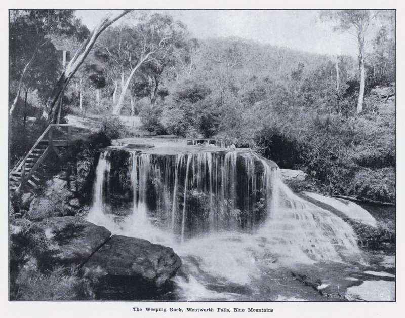 Ağlayan Kaya, Wentworth Şelalesi, Mavi Dağlar (s/b fotoğraf) by Photographer Australian