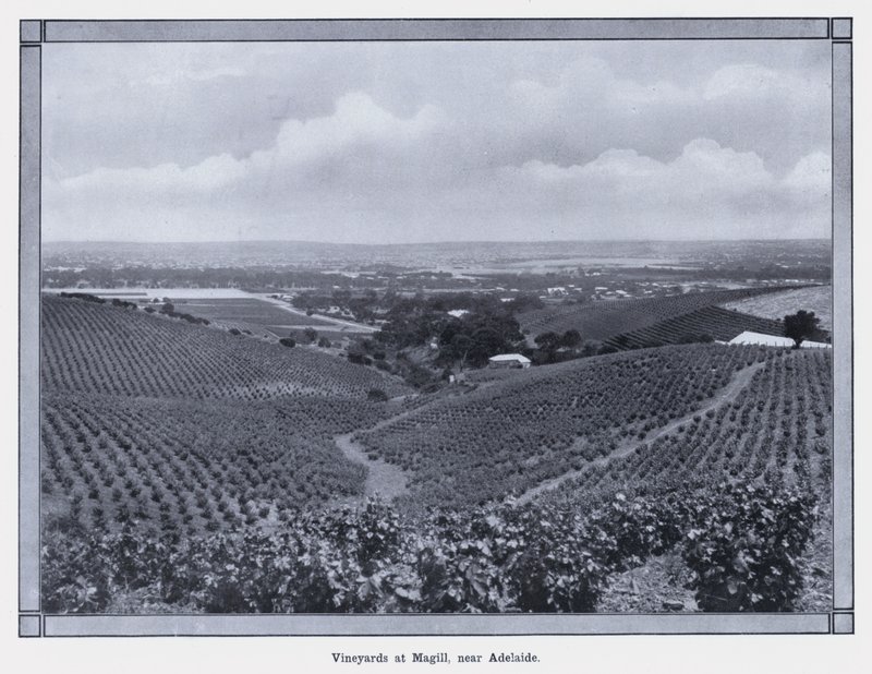 Adelaide yakınlarındaki Magill