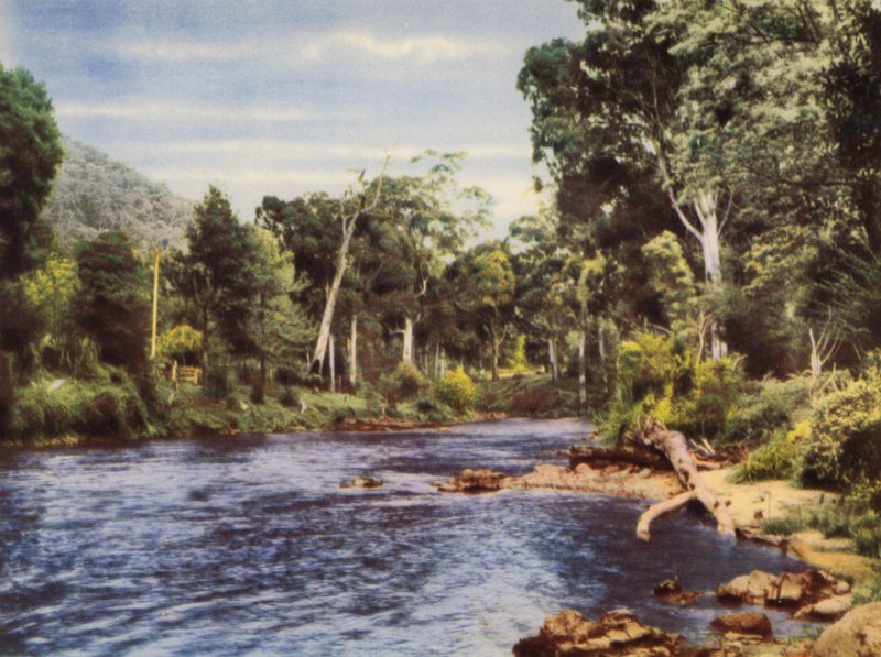 Yarra Nehri (renkli fotoğraf) by Photographer Australian