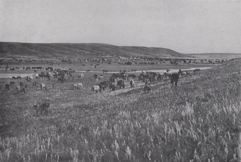 Alberta