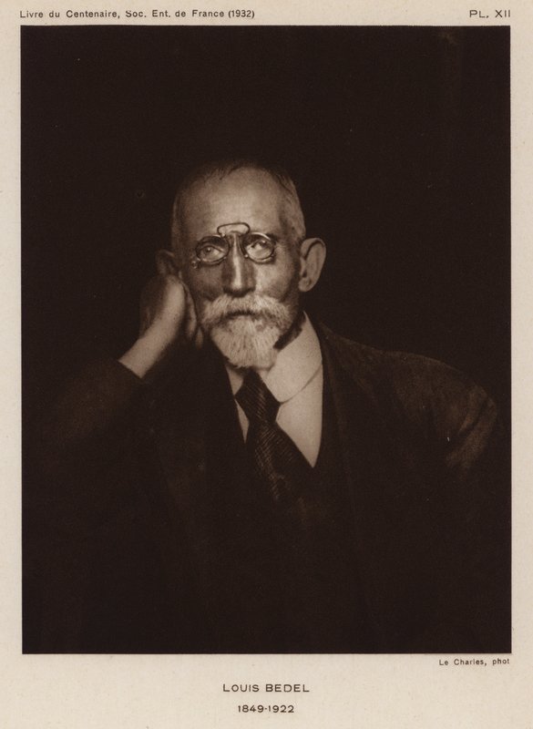 Ernest Marie Louis Bedel, Fransız entomolog (s/b fotoğraf) by Photographer French
