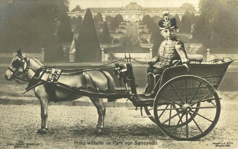 Veliaht Prens Willhelm, Sanssouci Sarayı, Potsdam (s/b fotoğraf) by Photographer German