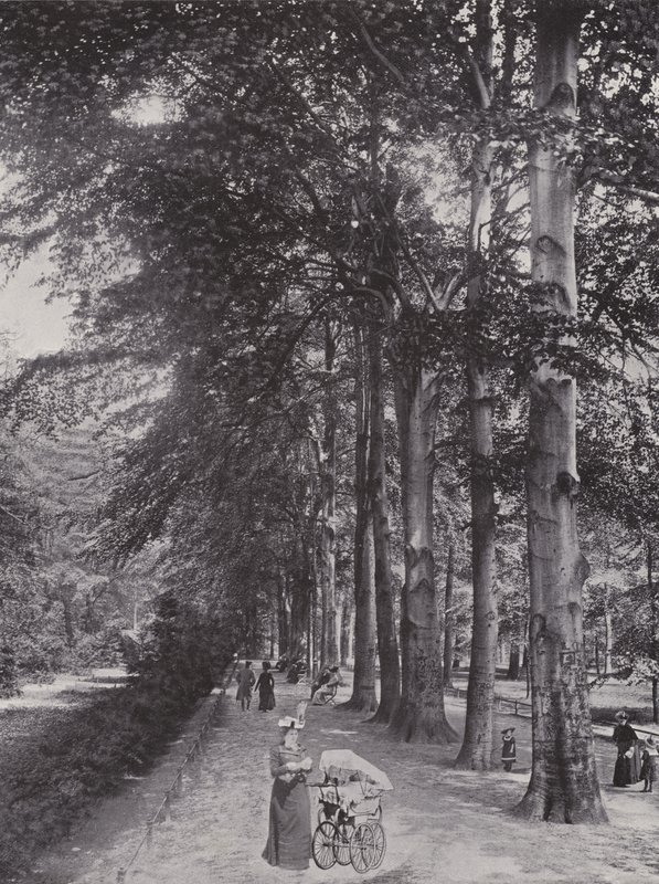 Tiergarten