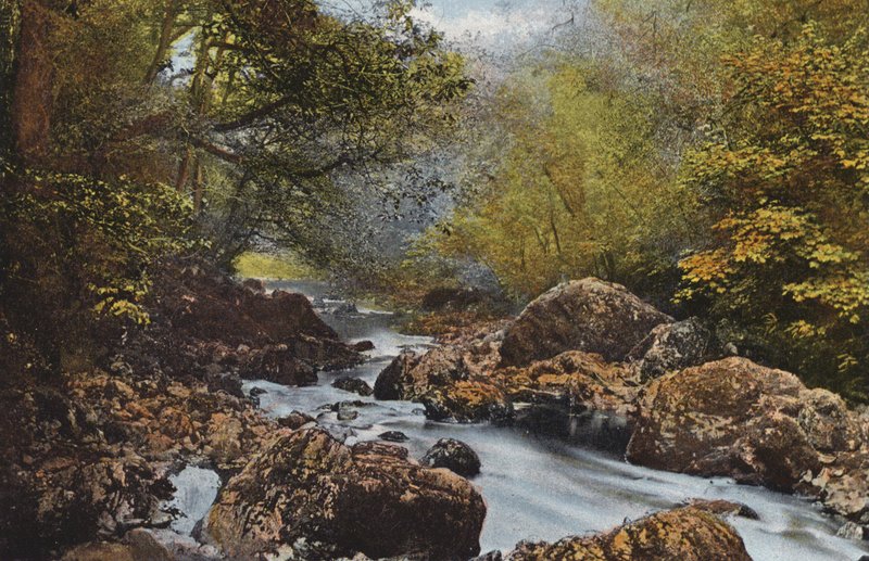 İrlanda: In The Dargle, County Wicklow (renkli fotoğraf) by Photographer Irish