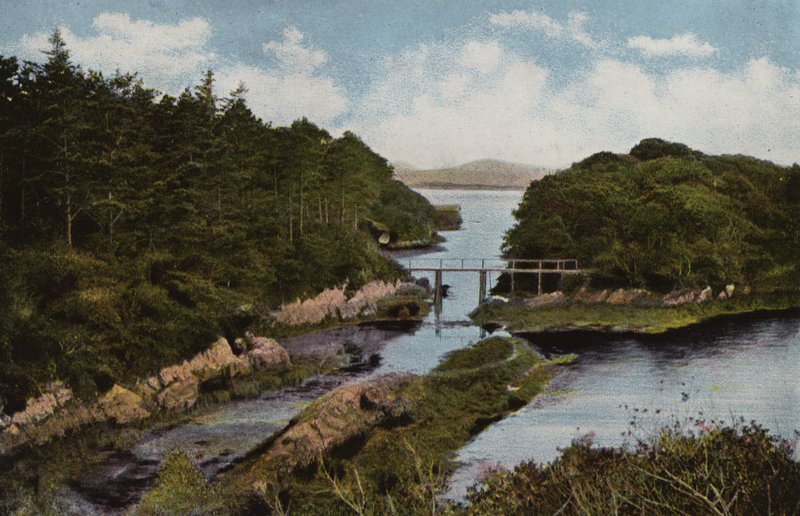 Güney İrlanda: Parknasilla, County Kerry (renkli fotoğraf) by Photographer Irish