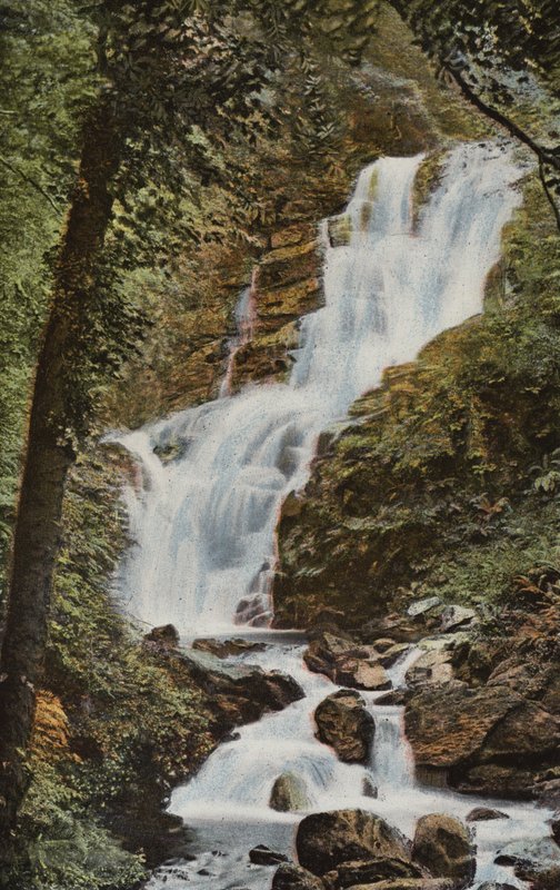 Güney İrlanda: Torc Cascade, Killarney (renkli fotoğraf) by Photographer Irish