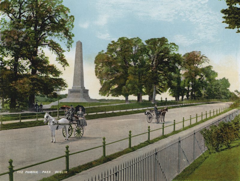 Phoenix Park, Dublin (renkli fotoğraf) by Photographer Irish