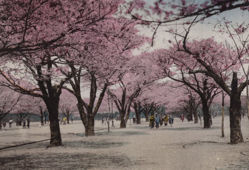 Japonya, c.1912: Uyeno Park
