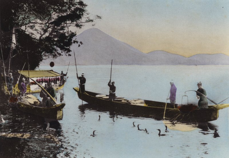 Japonya, c.1912: Bir karabatakla balık tutmak, Nagaragawa (fotoğraf) by Photographer Japanese