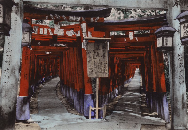 Japonya, c.1912: Torii Caddeleri, Kyoto yakınlarındaki Fushimi Tapınağı (fotoğraf) by Photographer Japanese