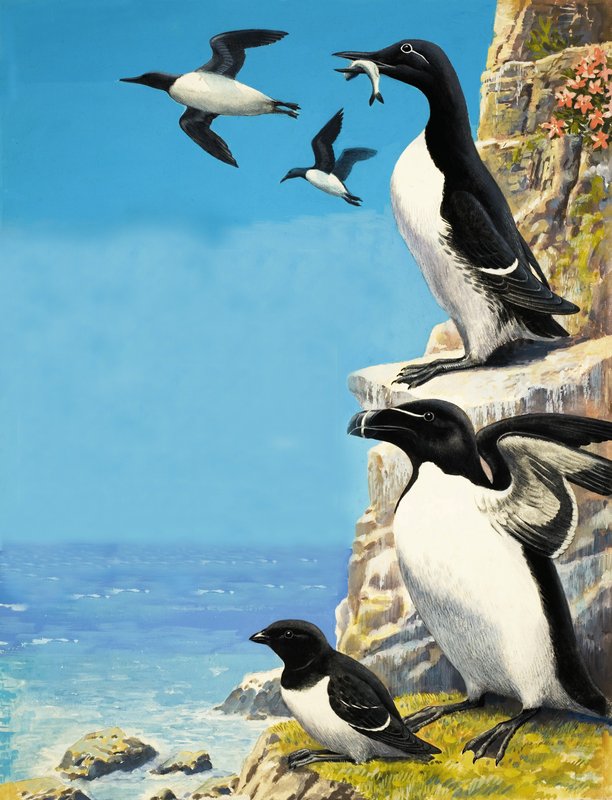  by R.B. Davis