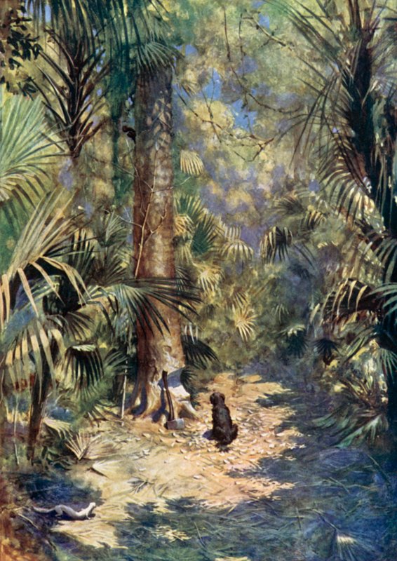 Daniel Defoe tarafından Robinson Crusoe için çizim (renkli taş) by Ralph Noel Pocock