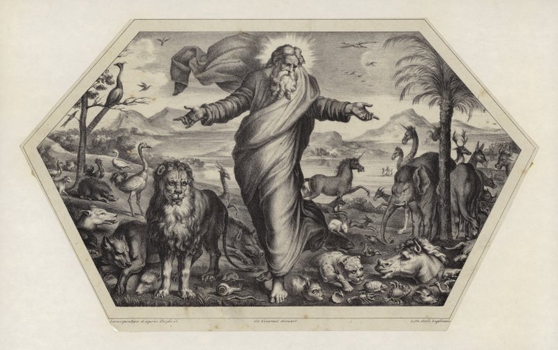 Hayvanların Yaratılışı by Raffaello Sanzio Raphael