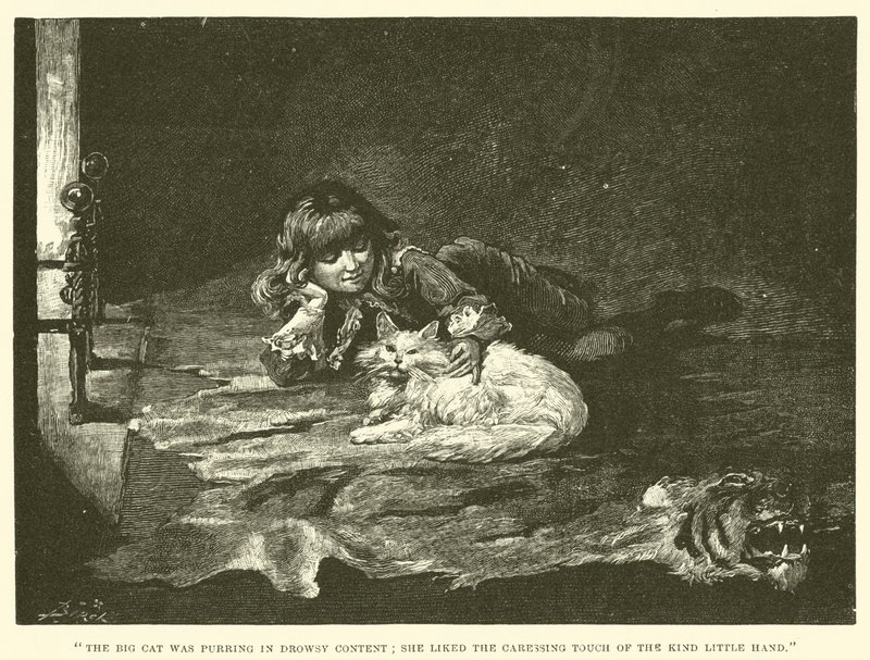 Küçük Lord Fauntleroy için İllüstrasyon by Reginald Bathurst Birch