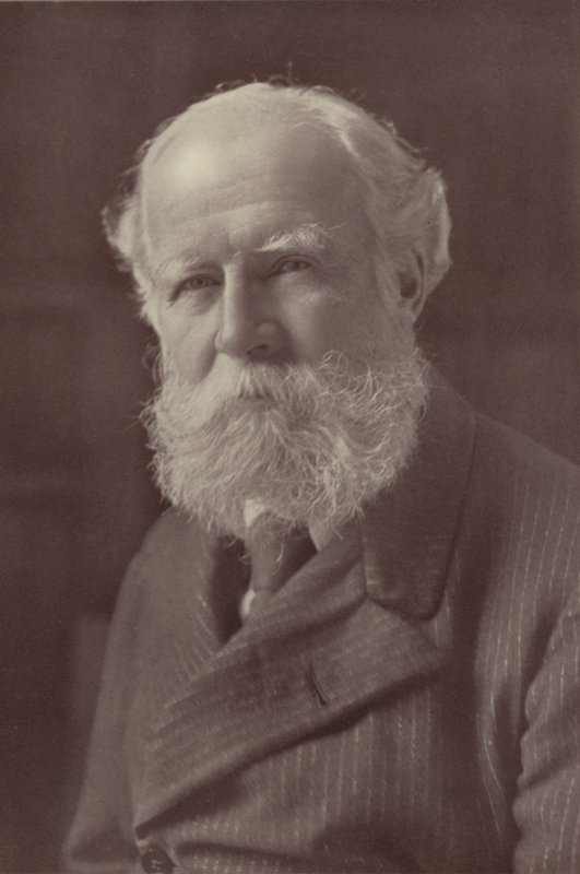 Lord Avebury (s/b fotoğraf) by Reginald Haines