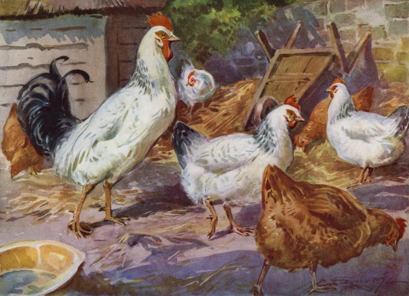 My Farm için İllüstrasyon (renkli lito) by Reginald Mills