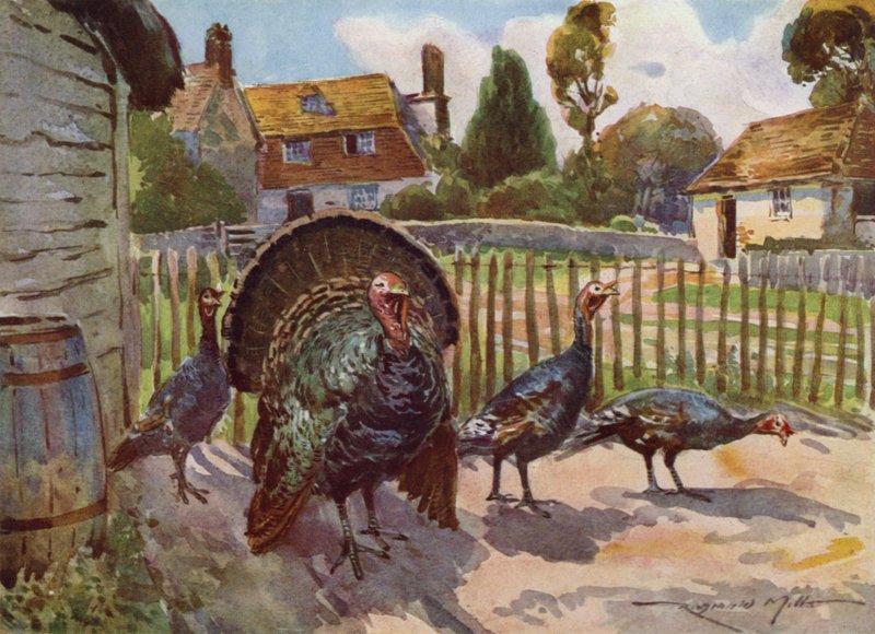 My Farm için İllüstrasyon (renkli lito) by Reginald Mills
