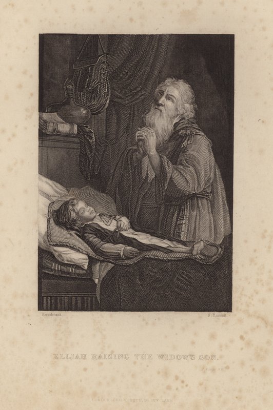 İlyas Dul Kadının Oğlunu Yetiştiriyor by Rembrandt van Rijn