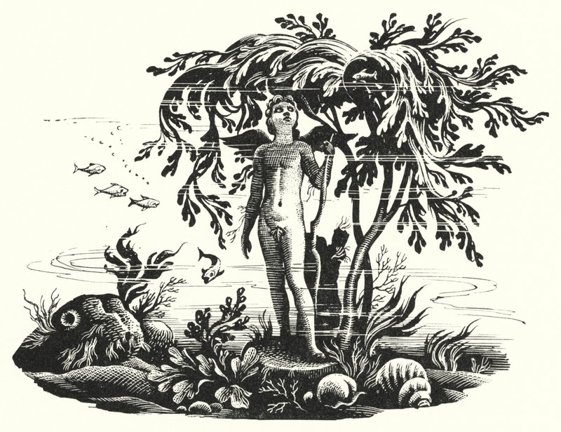Hans Christian Andersen: Küçük Deniz Kızı (taş) by Rex (after) Whistler