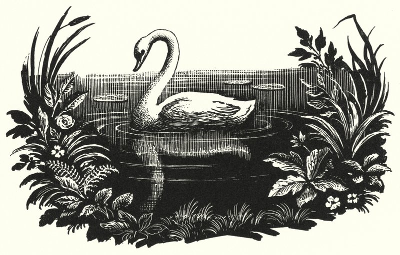 Hans Christian Andersen: Çirkin Ördek Yavrusu (taş) by Rex (after) Whistler