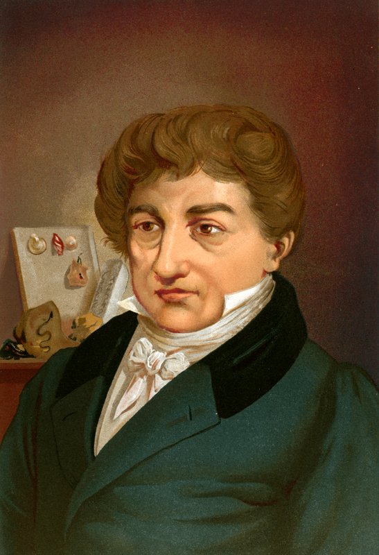Georges küpü by Ricardo Marti