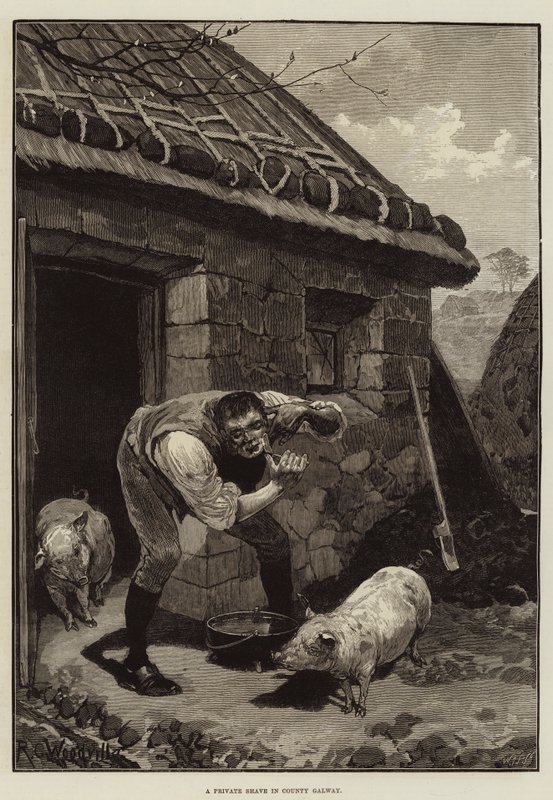 County Galway