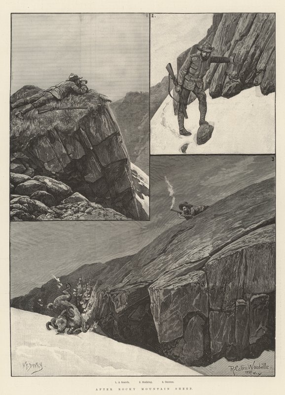 Kayalık Dağ Koyunundan Sonra by Richard Caton Woodville junior