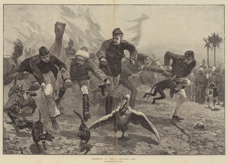 Kampta Eğlenceler, Bir Hayvanat Bahçesi Yarışı by Richard Caton Woodville junior