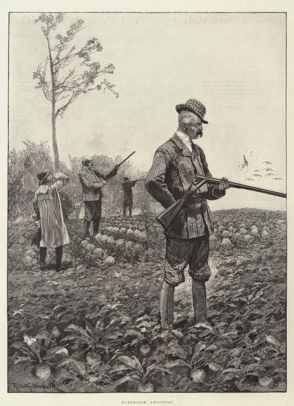 keklik çekimi by Richard Caton Woodville junior
