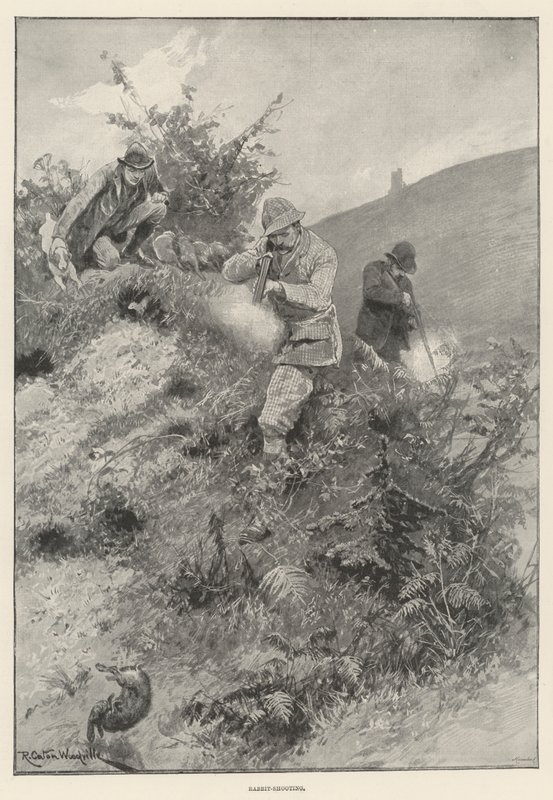 tavşan-çekim by Richard Caton Woodville junior