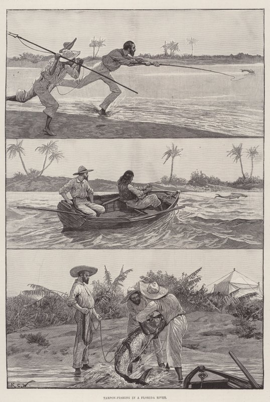 Florida Nehrinde Tarpon Balıkçılığı by Richard Caton Woodville junior