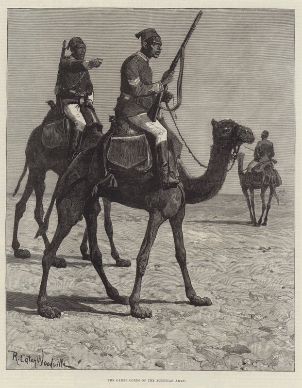 Mısır Ordusu Deve Kolordusu by Richard Caton Woodville junior