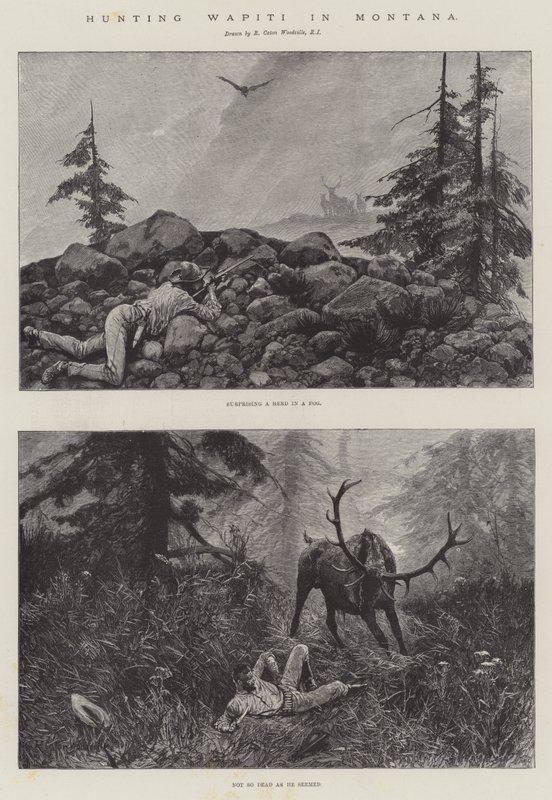 Montana