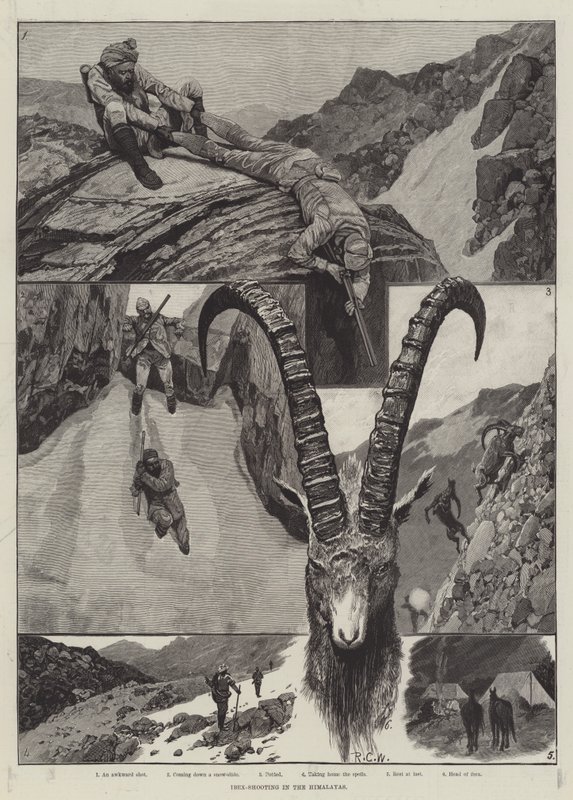 Ibex-Shooting in the Himalayas engraving by Richard Caton Woodville junior