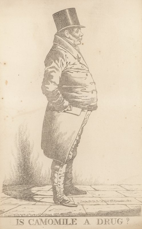 Bay Bowden; Papatya ilaç mıdır by Richard Dighton