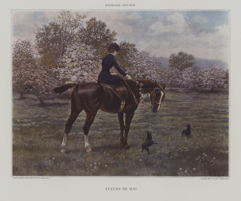 Mayıs çiçekleri by Richard Doyle