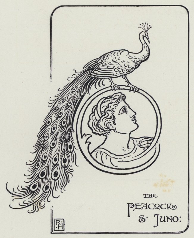Tavus Kuşu ve Juno (gravür) by Richard Heighway
