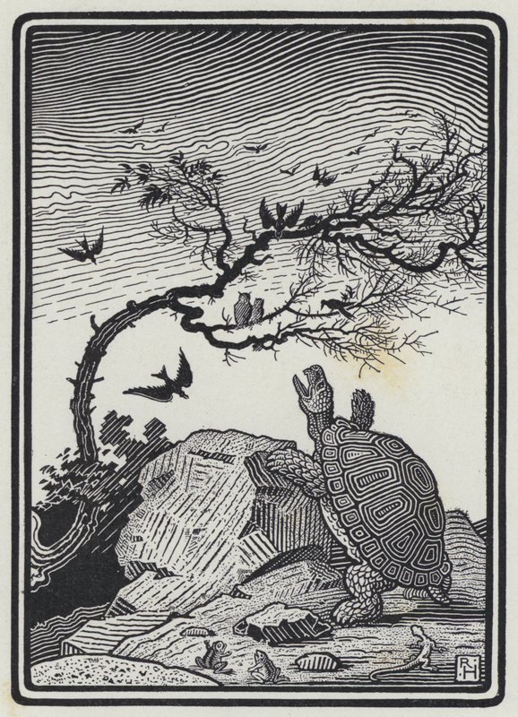 Kaplumbağa ve Kuşlar (gravür) by Richard Heighway