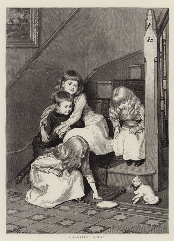 Şımartılmış Bir Morsel by Robert Barnes
