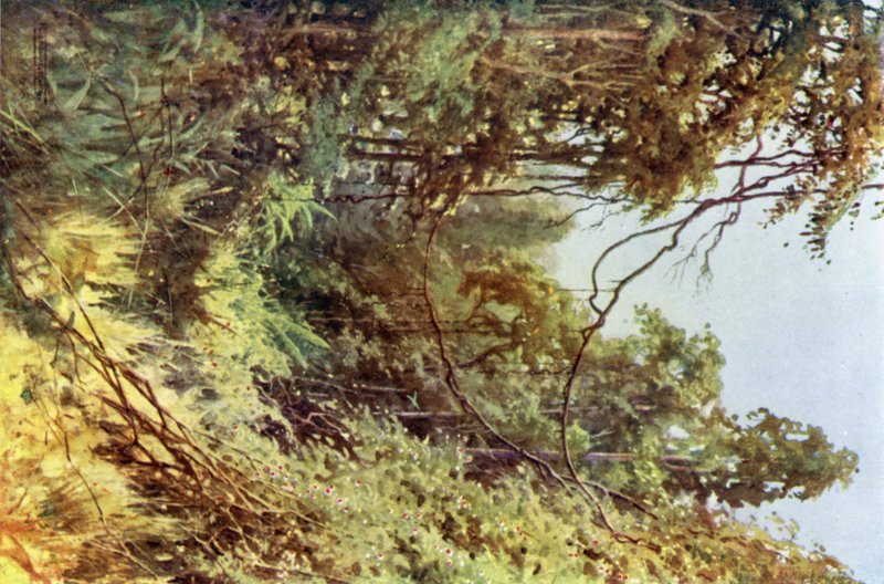 Orman Kayranı by Robert George Talbot Kelly