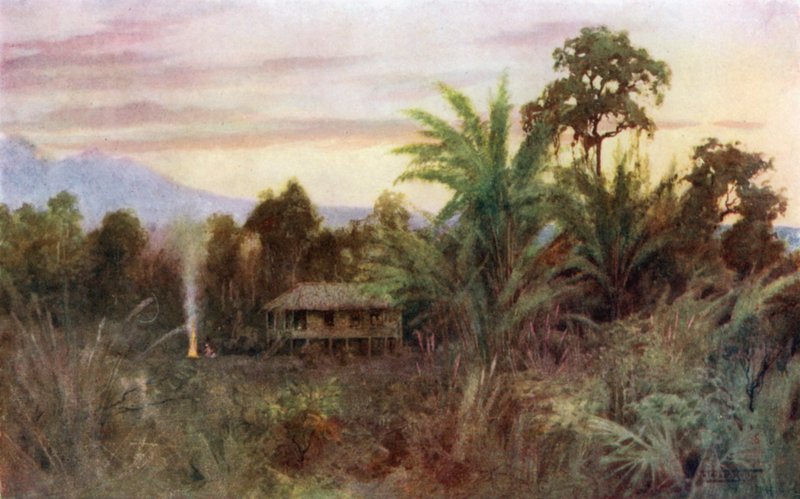 Bir Orman Tai by Robert George Talbot Kelly