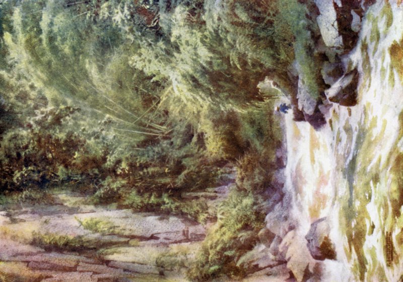Bir Dağ Torrenti by Robert George Talbot Kelly