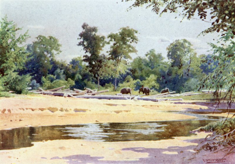 Elephants clearing a Pone of Logs at Kokogon  by Robert George Talbot Kelly