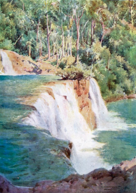 Heimili páfuglsins by Robert George Talbot Kelly