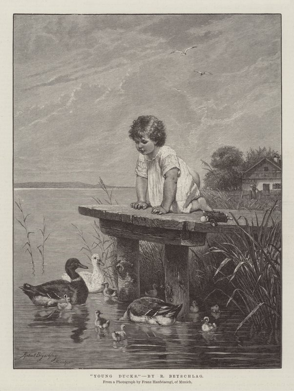 genç ördekler by Robert Julius Beyschlag