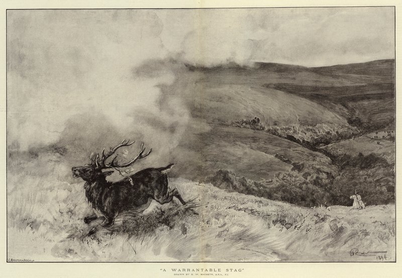 Garantili Bir Geyik by Robert Walker Macbeth