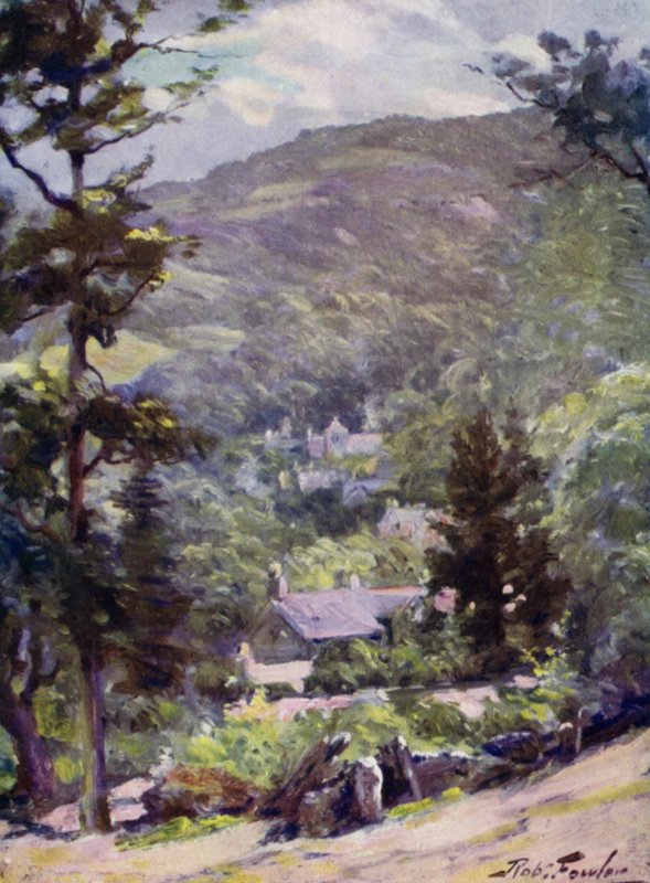 Avrupa Arı Kuşu veya Merops apiasterinin (Kromolitografi) Temsili by Robert (after) Fowler